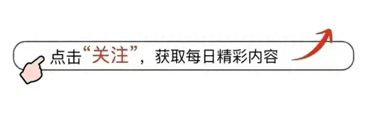 澳门一码一肖一特一中五码必中，解读：埃文·凯尔与中国粉丝的深情互动：历史反思与情谊传递  