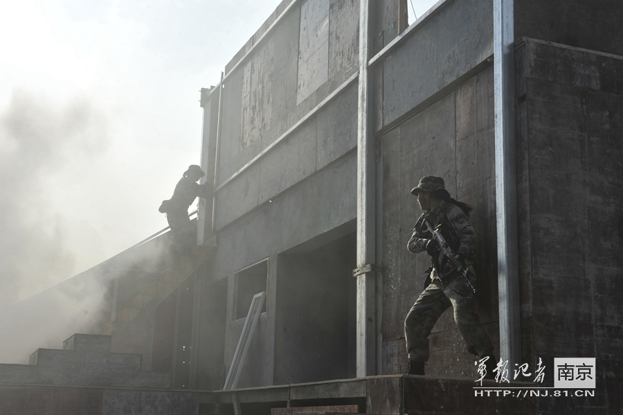 三黄鸡全程饲养管理指南，从育雏到出栏无忧养殖